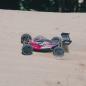 Preview: Arrma TLR Tuned TYPHON 1:8 4WD Roller (Pink/Purple) - ARA8306