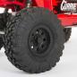 Preview: Axial Capra 1.9 4WS 1:10 Currie Unlimited Trail Buggy RTR Red - AXI03022BT1
