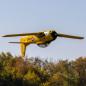 Preview: E-flite Carbon-Z T-28 Trojan RC-Flugzeug Spannweite 2.0m with Smart BNF Basic - EFL013550