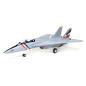Preview: E-flite F-14 Twin 40mm EDF RC-Flugzeug Jet Spannweite: 762mm BNF Basic - EFL01450