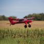 Preview: E-flite DRACO 2.0m with Smart BNF Basic RC-Flugzeug Spannweite: 1974mm - EFL12550