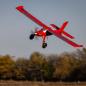Preview: E-flite Micro DRACO 800mm BNF Basic Mini RC-Flugzeug with AS3X and SAFE Select - EFL13550