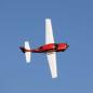 Preview: E-flite Cirrus SR22T Red RC-Flugzeug Spannweite1.5m BNF Basic - EFL15950