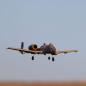 Preview: E-flite UMX A-10 Thunderbolt II 30mm EDF BNF Basic Micro RC-Flugzeug Spannweite: 562mm - EFLU6550