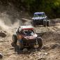 Preview: Losi RZR Rey, 1/10 4WD Brushless RTR RC-Car, UTV FOX - LOS03029T2