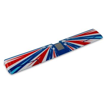 E-flite Painted Wing; Decathlon 1.2m - EFL-1053