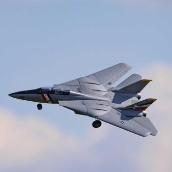 E-flite F-14 Twin 40mm EDF RC-Flugzeug Jet Spannweite: 762mm BNF Basic - EFL01450