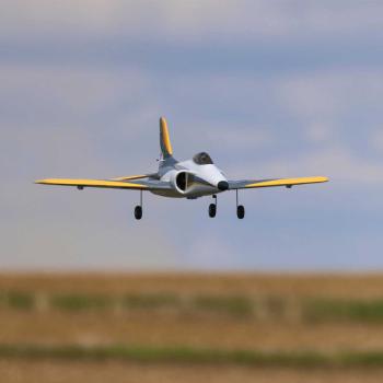 E-flite Habu SS 70mm EDF Jet Spannweite: 1029mm BNF Basic - EFL0950