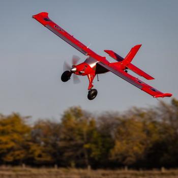 E-flite Micro DRACO 800mm BNF Basic Mini RC-Flugzeug with AS3X and SAFE Select - EFL13550