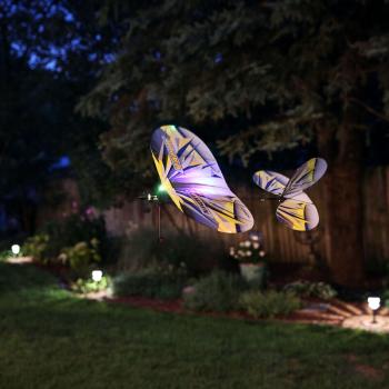E-flite UMX Night Vapor RTF Mini RC-Flugmodell - EFLU1300
