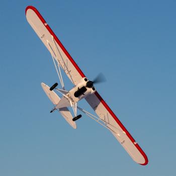 Hangar9 Carbon Cub FX-3 100-200cc ARF RC-Flugzeug - HAN5280