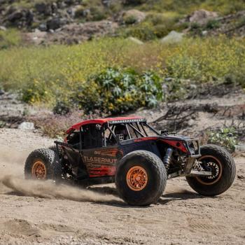 Losi 1/6 8IGHT-X Super Lasernut 4WD Brushless Buggy Offroad RC-Car RTR - LOS04019