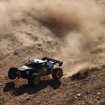 Losi DBXL 2.0 1:5 4wd RC Benzin Buggy RTR - ICON - LOS05008T1