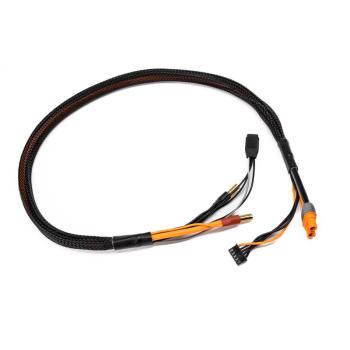 Spektrum Pro Series Race 4s Charge Cable: IC3/5mm 2' - SPMXCA330