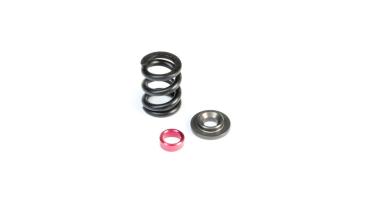 TLR HD Slipper Spring Set, SHDS - TLR232083