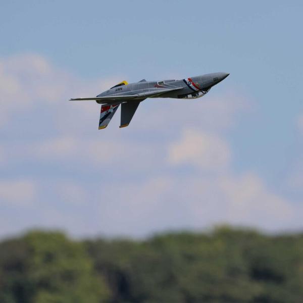 E-flite F-14 Twin 40mm EDF RC-Flugzeug Jet Spannweite: 762mm BNF Basic - EFL01450