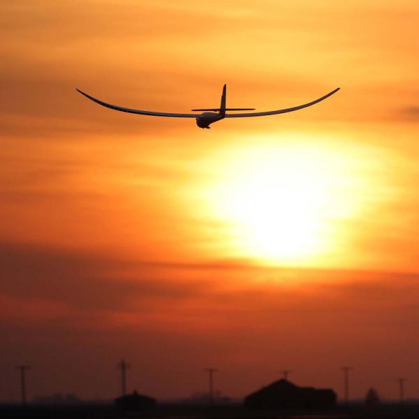 E-flite Night Radian 2.0m RC-Flugzeug BNF Basic - EFL36500