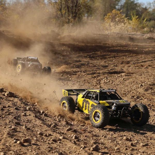 Losi DBXL 2.0 1:5 4wd RC Benzin Buggy RTR - MAGNAFLOW - LOS05008T2