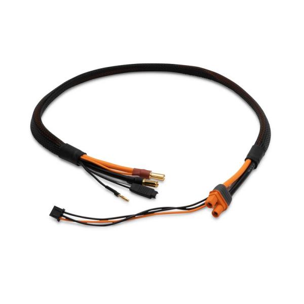 Spektrum Pro Series Race 2s Charge Cable: IC3/5mm 2' - SPMXCA329