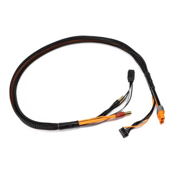 Spektrum Pro Series Race 4s Charge Cable: IC3/5mm 2' - SPMXCA330